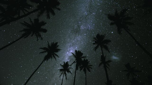 Night sky Milkyway star time lapse with silhouette palm trees - Magellanic cloud