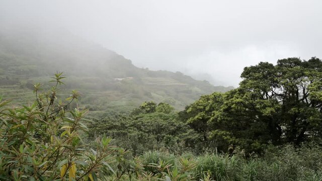 Wide-angle view of the mountain with mist in the morning.