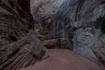 Sandstone Walls Line the Grand Wash Trail