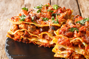 Vincisgrassi are flat pasta, a meat sauce called ragu,  the variety of meats is coarsely chopped and mixed with cloves, celery, onion, carrot, chicken giblets, tomatoes closeup. horizontal