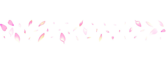 Color Apple Petal Vector White Background. White Springtime Lotus Petal Pattern. Cherry Petal Fresh Cover. Blossom Sakura Petal Template.