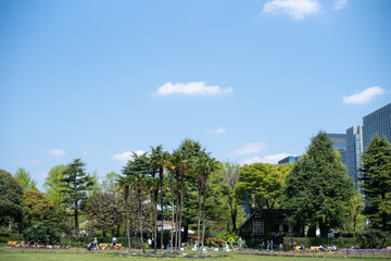Fototapeta na wymiar 青空の公園
