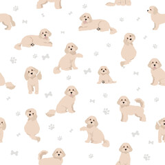Cavapoo mix breed seamless pattern. Different poses, coat colors set.