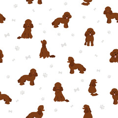 Fototapeta premium Toy poodle seamless pattern.