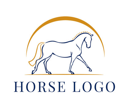 equestrian logo with line art horse symbol. vector illustration