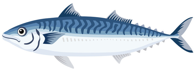Mackerel illustration, Japanese seafood ingredient
