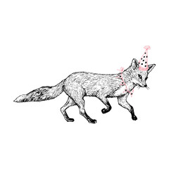 パーティに行く狐の手描きのイラスト