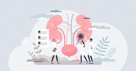 Nephrologist as kidney and bladder professional doctor tiny person concept - obrazy, fototapety, plakaty