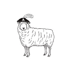 海賊帽子を被った羊の手描きイラスト