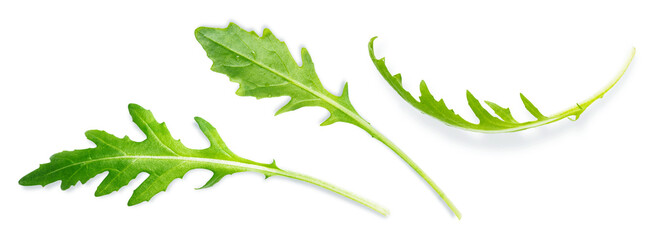 Arugula leaves isolated on white background, collection
