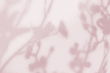 Flower shadows on light pink rose pastel color wall.