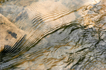Fresh mountain waters in the spring. Flowing stream.