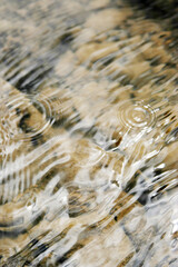 Fresh mountain waters in the spring. Flowing stream.