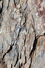 Granite rock texture background abstract