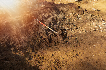 Shovel lying on the bare ground.High quality photo.
