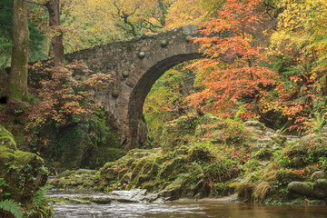 Fototapeta na wymiar Stone Bridge in forest photographed in the Autumn.