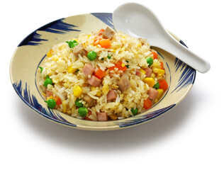 vietnamese fried rice (com chien)