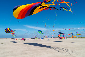 Fanö, Nordsee, Dänemark, Strand, Drachen, Drachenfestival, Drachenwettbewerb, Urlaub, Dünen,...
