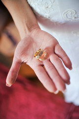 wedding rings in the bride's hand