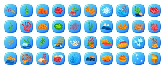 Fish game, marine set, ocean tropical seashell, isolated on white, art underwater world, in cartoon style vector illustration.
