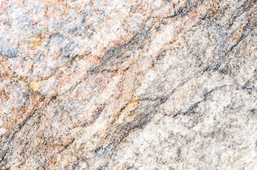 Textured red background. The texture of the sea stone is red-brown.
