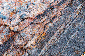 Textured red background. The texture of the sea stone is red-brown.