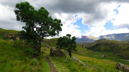 Fototapeta na wymiar On the trail to the Main Caves, Giant's Castle, Northern Drakensberg, Kwazulu Natal
