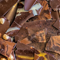 milk chocolate, caramel chocolate, hazelnut chocolate, salted butter chocolate