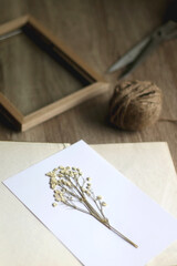 White paper with pressed gypsophila flowers and old book on a table. Making herbarium at home. Selective focus.