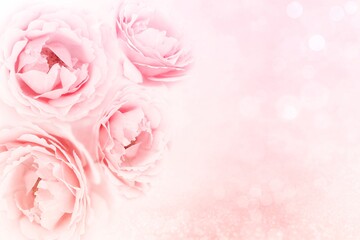 soft roses flower background in pink vintage color tone, romance floral design for valentine ,wedding cards 