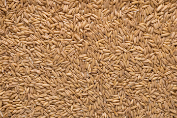 Oat groats. Raw whole oat seeds. Texture background. Healthy eating. Top view.