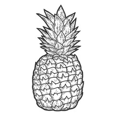 Fruit pineapple. Sketch scratch board imitation. Black and white.
