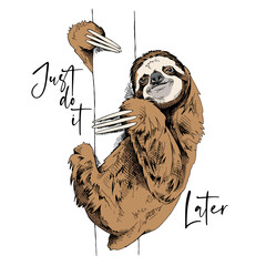 Funny Sloth on a trunk tree. Just do it later - lettering quote. Humor card, t-shirt composition, hand drawn style print. Vector illustration. - 427667701