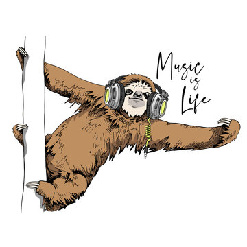 Funny Sloth in a headphones on a trunk tree. Music is life - lettering quote. Humor card, t-shirt composition, hand drawn style print. Vector illustration.