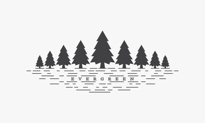 evergreen vector illustration on white background.