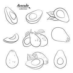 Vector hand drawn avocado and slices set.Sketch of a whole avocado, sliced ​​and leaves. Botanical illustration of avocado. Juicy tropical fruits.Great for labels, posters, prints.