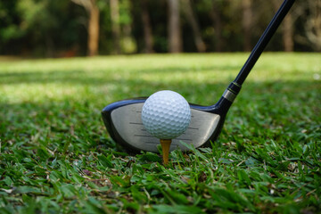 Golf club and golf ball close up in grass field with sunset. Golf ball close up in golf coures at Thailand.