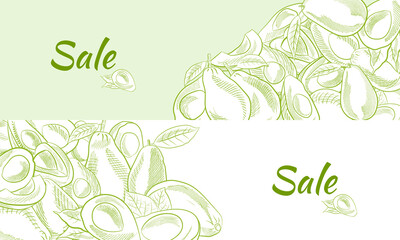 Vector hand drawn avocado and slices set.Sketch of a whole avocado, sliced ​​and leaves. Botanical illustration of avocado. Juicy tropical fruits.Great for labels, posters, prints.