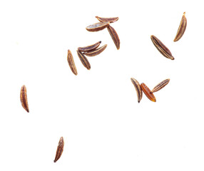 Caraway seeds isolated on a white background.