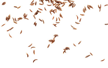 Caraway seeds isolated on a white background.