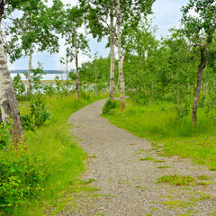 Fragment of fantastic trail at Green Lake in British Columbia, Canada.