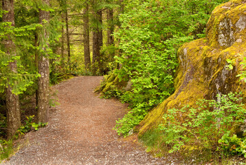 Fragment of a trail at Brohm lake, British Columbia, Canada.