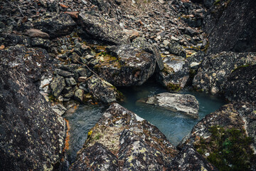 Fototapeta premium Scenic nature background of turquoise clear water stream among rocks with mosses and lichens. Atmospheric mountain landscape with mossy stones in transparent mountain creek. Beautiful mountain stream.