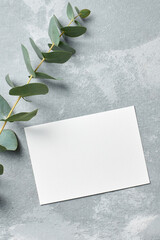 Invitation card mockup with eucalyptus twigs on grey stony background