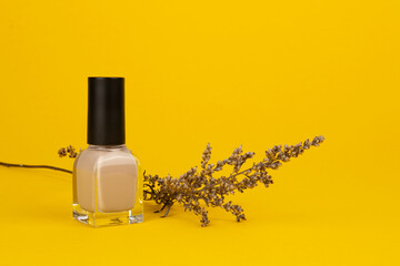 Nagellack Nude Naturdeko Gelber Hintergrund 3