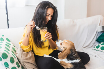 beautiful young woman drink a smoothie with her dog