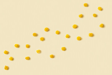 Mimosa flower background with round fluffy yellow balls. Natural spring flowers. Minimal floral composition monochrome colors