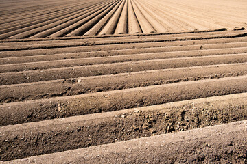 Furrows row pattern in a plowed field prepared for planting crops in spring.