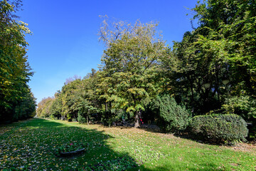 Landscape with the main alley with vivid green and yellow plants, green lime trees and grass in a sunny autumn day in Cismigiu Garden in Bucharest, Romania .