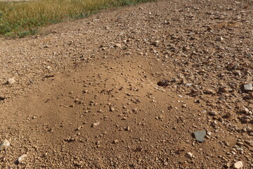 Ant Hill with Large Stones Moved Out of Hole